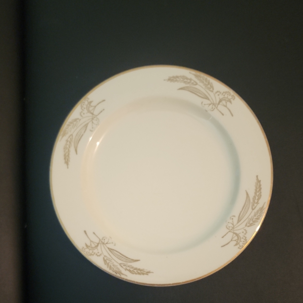 Elegant White Dinner Plate with Gold Trim